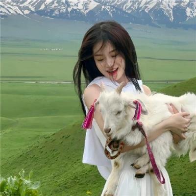 刚左档案 海报