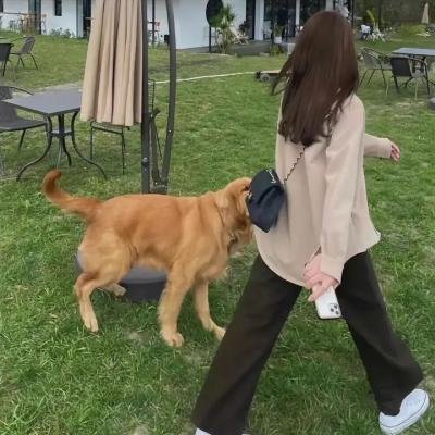 无名地带 海报